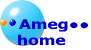Ameg home